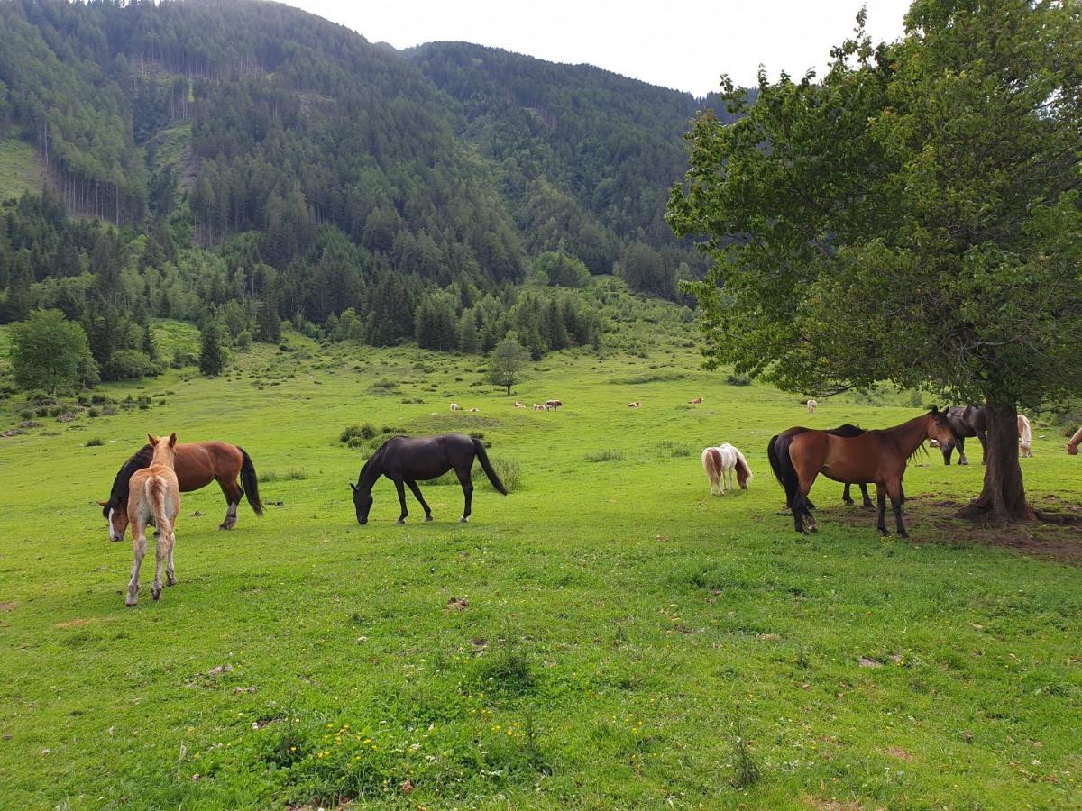 Pongitzerhof Βίλα Matrei in Osttirol Εξωτερικό φωτογραφία